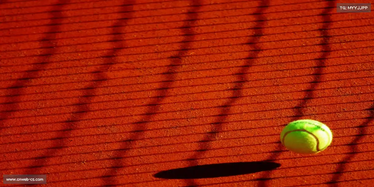 csgo投注官网——⚾🌟 本垒打轰，流星贯野！